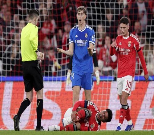 大乐透期号,专家质合分,析推荐,千亿体育官网,APP下载,注册领彩金,官方网站,网站入口