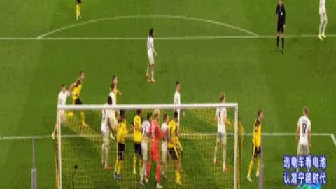 厦门环东文客战河南败北，实力不容小觑